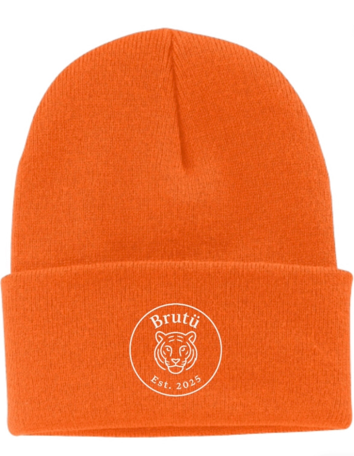 OG Circle Tiger Beanie